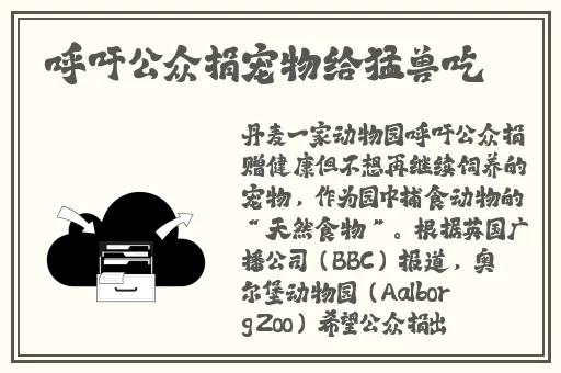 青春的日子