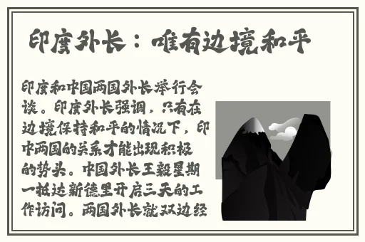 欧美风大码胖mm中长款连衣裙